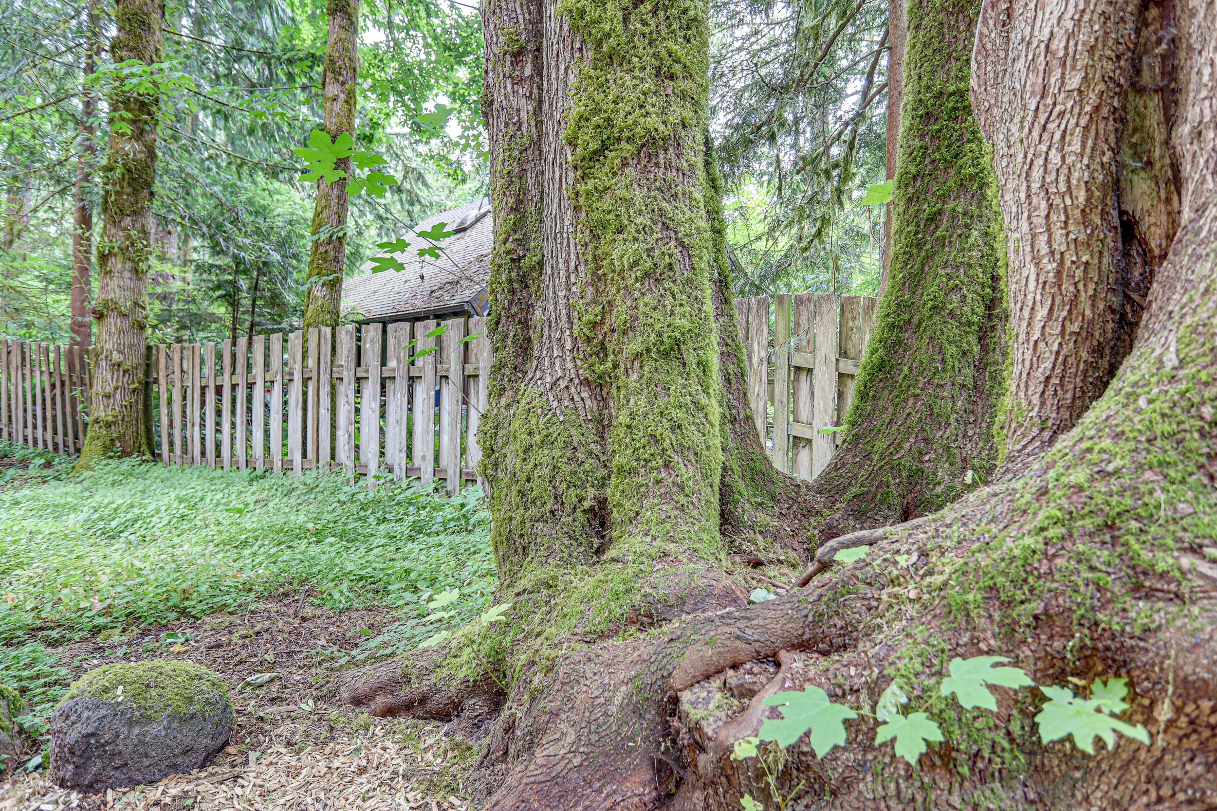 Is it an octopus or a nest? This uniquely magical tree can provide hours of intrigue and imagination for the little ones. 