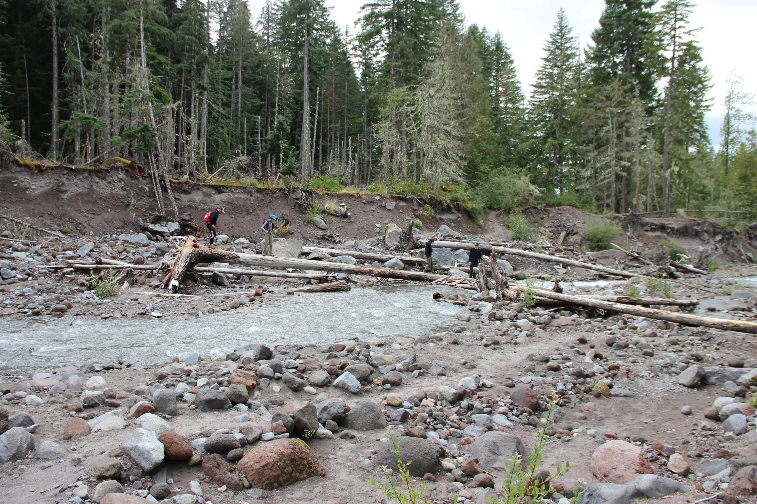 Four hikers using a fallen log like a balance beam to cross the Sandy River.