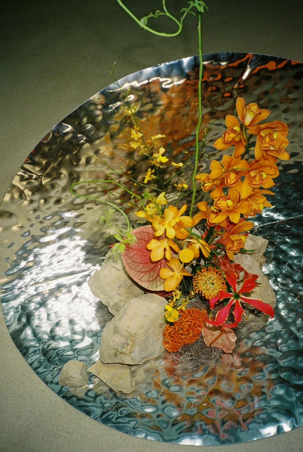 08_09_2025_0181.jpg