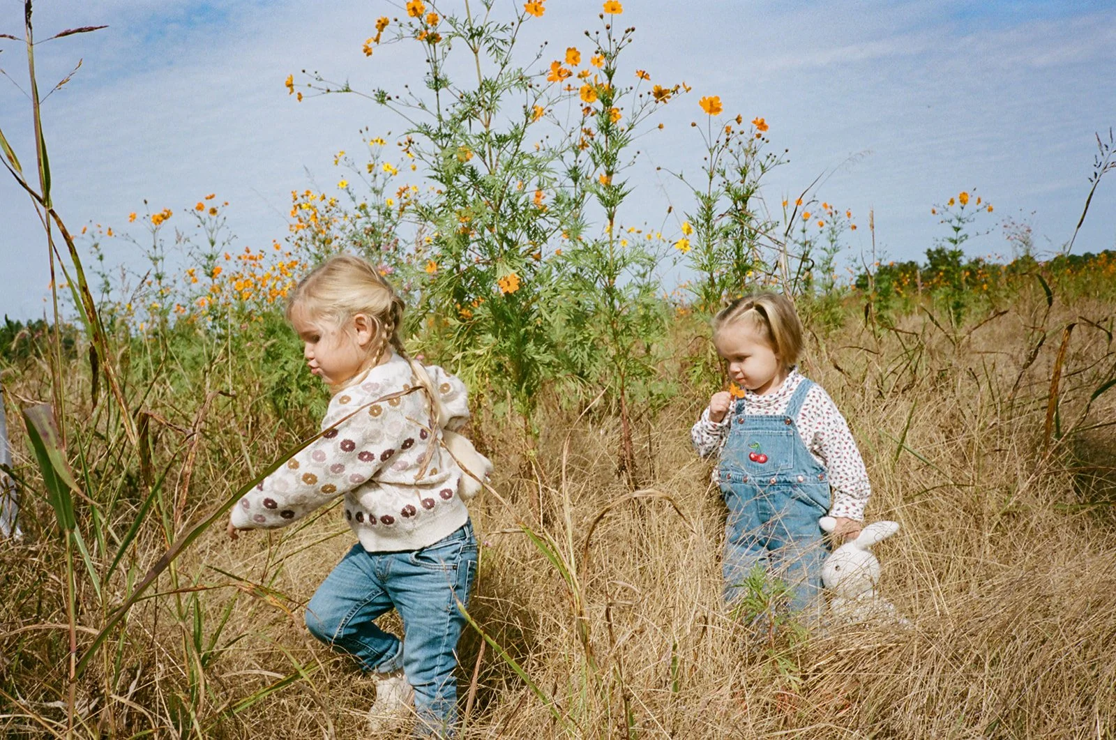 FALL FAMILY PHOTOS IN CHARLOTTE, NC