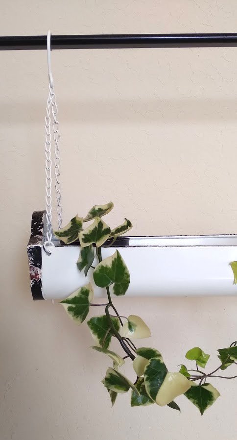 https://i.etsystatic.com/18579167/r/il/711fa4/2998764707/il_fullxfull.2998764707_cpjw.jpg