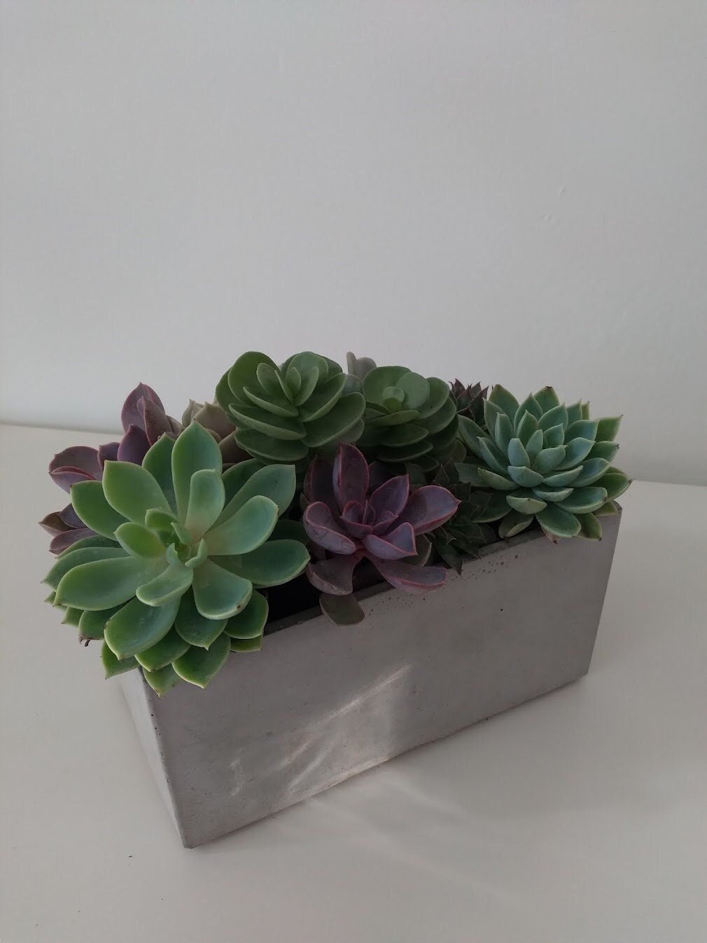 https://i.etsystatic.com/18579167/r/il/386efe/4915652942/il_fullxfull.4915652942_9u3l.jpg