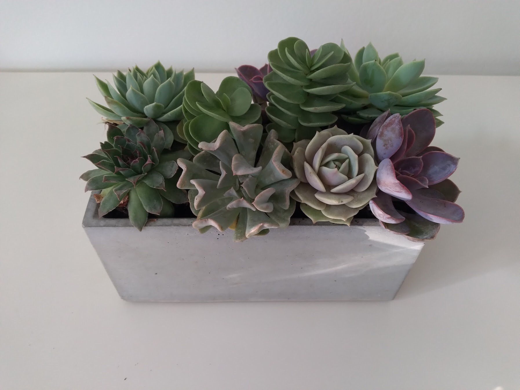 https://i.etsystatic.com/18579167/r/il/b1ab7b/4761174797/il_fullxfull.4761174797_76dg.jpg