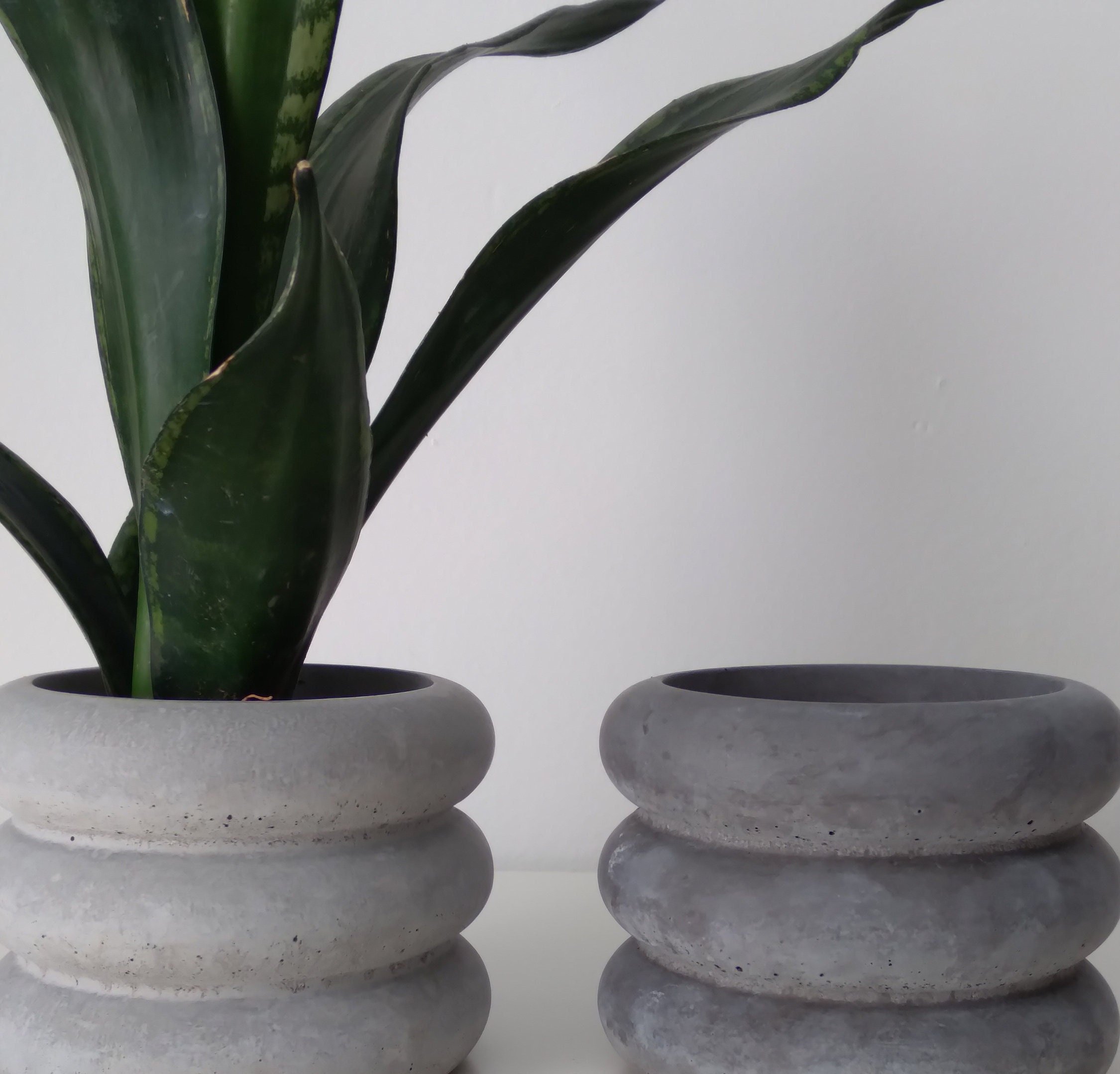 https://i.etsystatic.com/18579167/r/il/548d4e/4073144092/il_fullxfull.4073144092_giv5.jpg