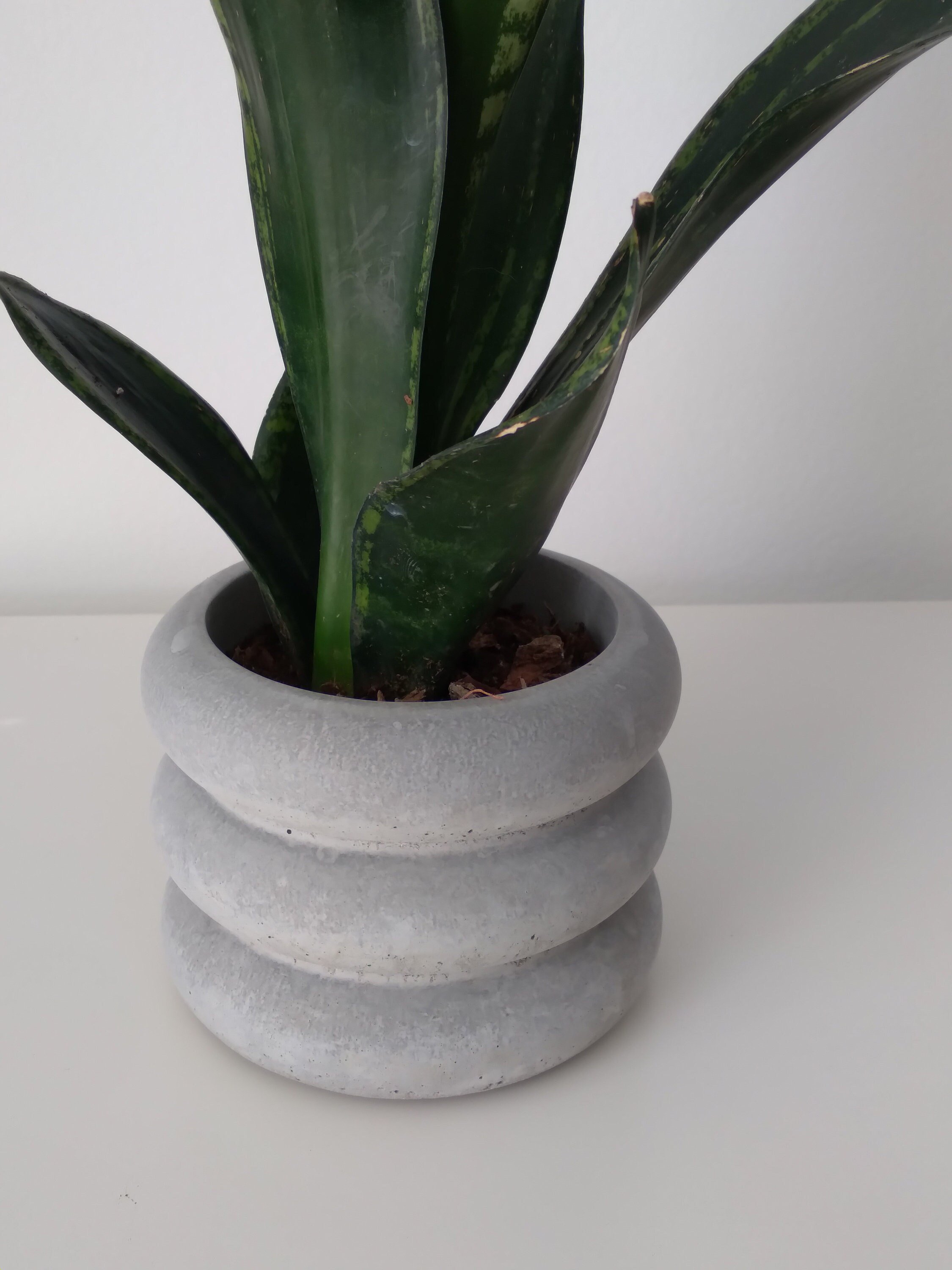 https://i.etsystatic.com/18579167/r/il/2140b7/4092543675/il_fullxfull.4092543675_4zpk.jpg