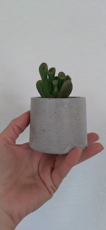 https://i.etsystatic.com/18579167/r/il/5864b7/3212288583/il_fullxfull.3212288583_a6au.jpg