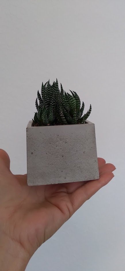 https://i.etsystatic.com/18579167/r/il/f269b0/3164579280/il_fullxfull.3164579280_lld6.jpg