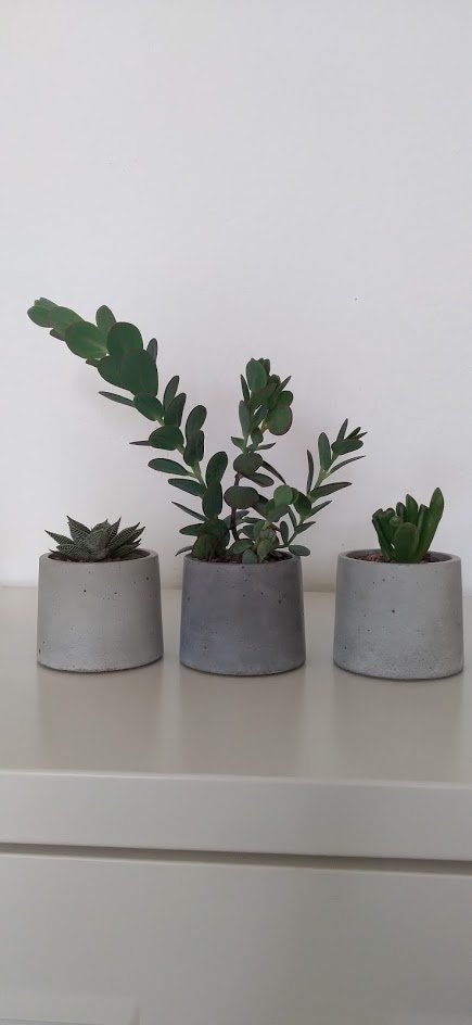 https://i.etsystatic.com/18579167/r/il/31c99d/3164580696/il_fullxfull.3164580696_gzkk.jpg