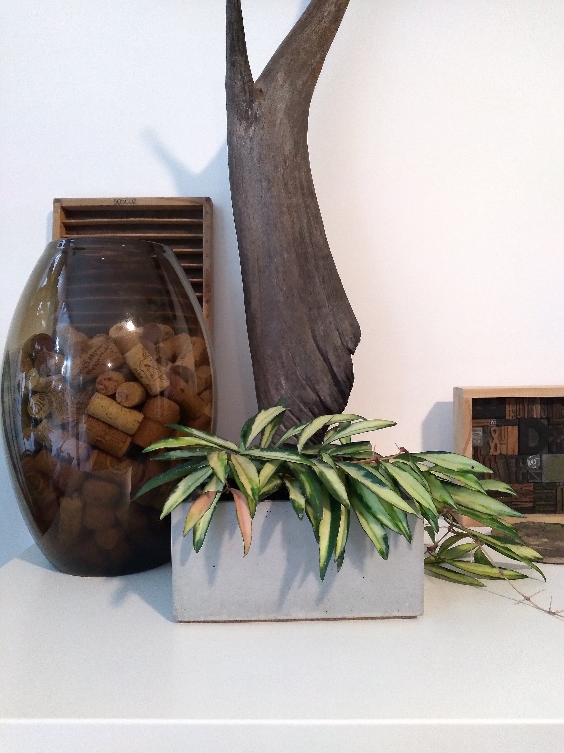 Rectangular concrete planter Hoya