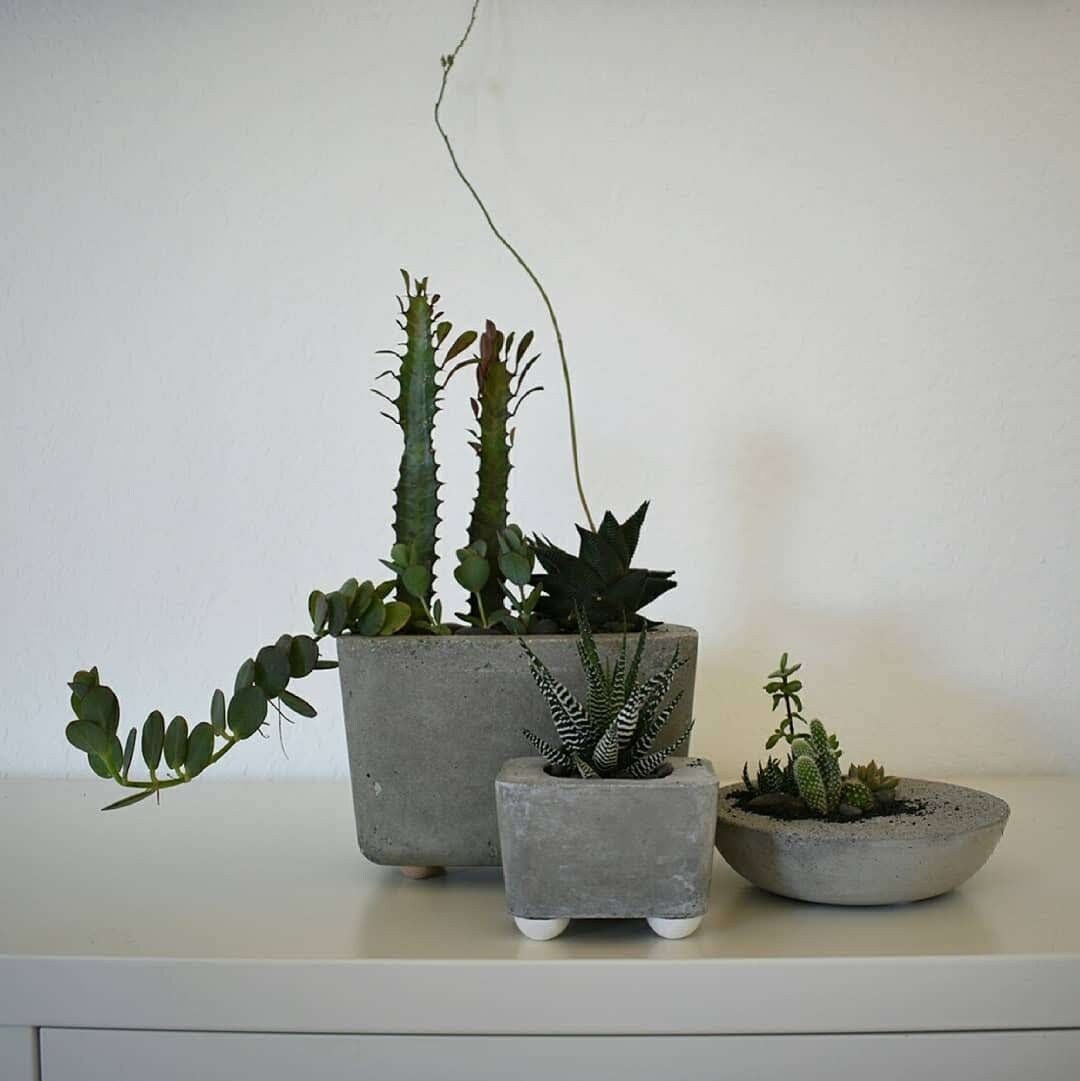 https://i.etsystatic.com/18579167/r/il/dd3dae/2368365092/il_fullxfull.2368365092_b4t5.jpg
