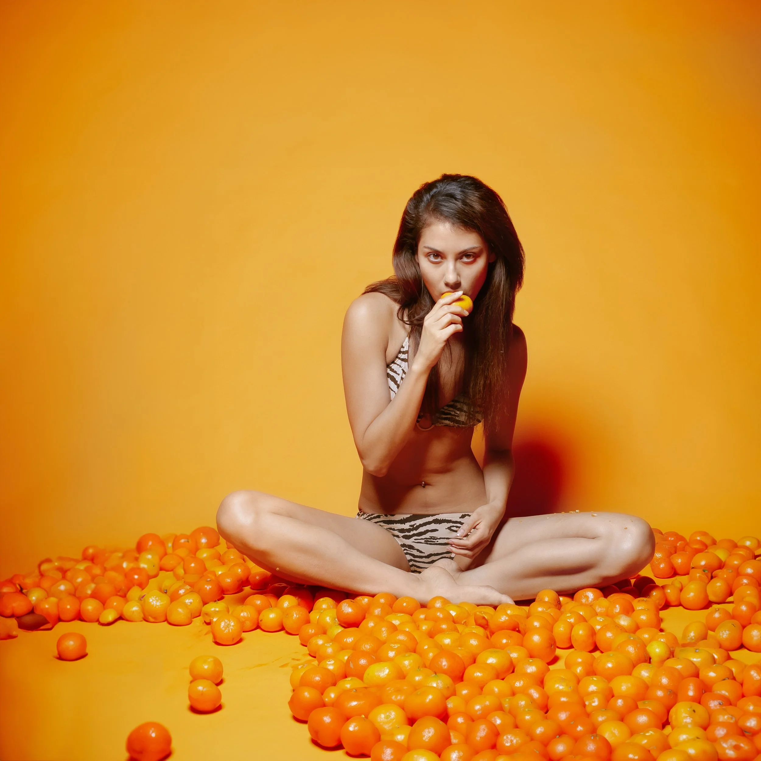 IMG_8933 copysdf.jpg