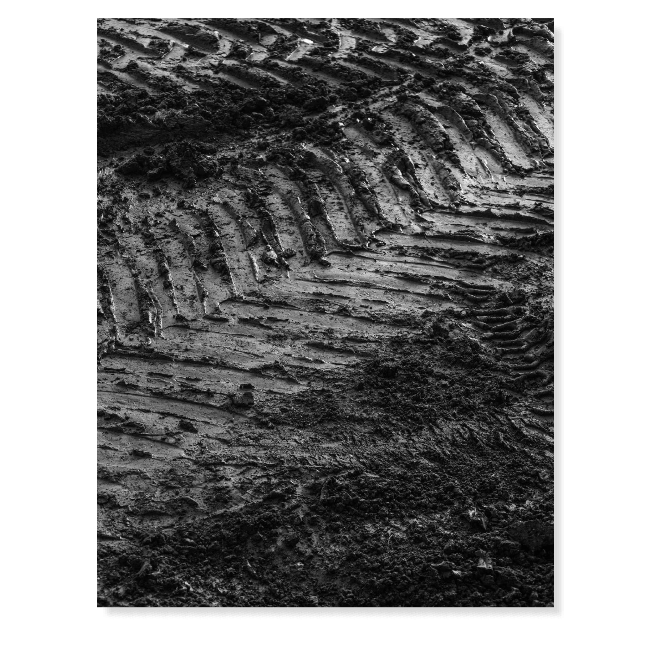 FIELD EDITION 01 - JERSEYVILLE