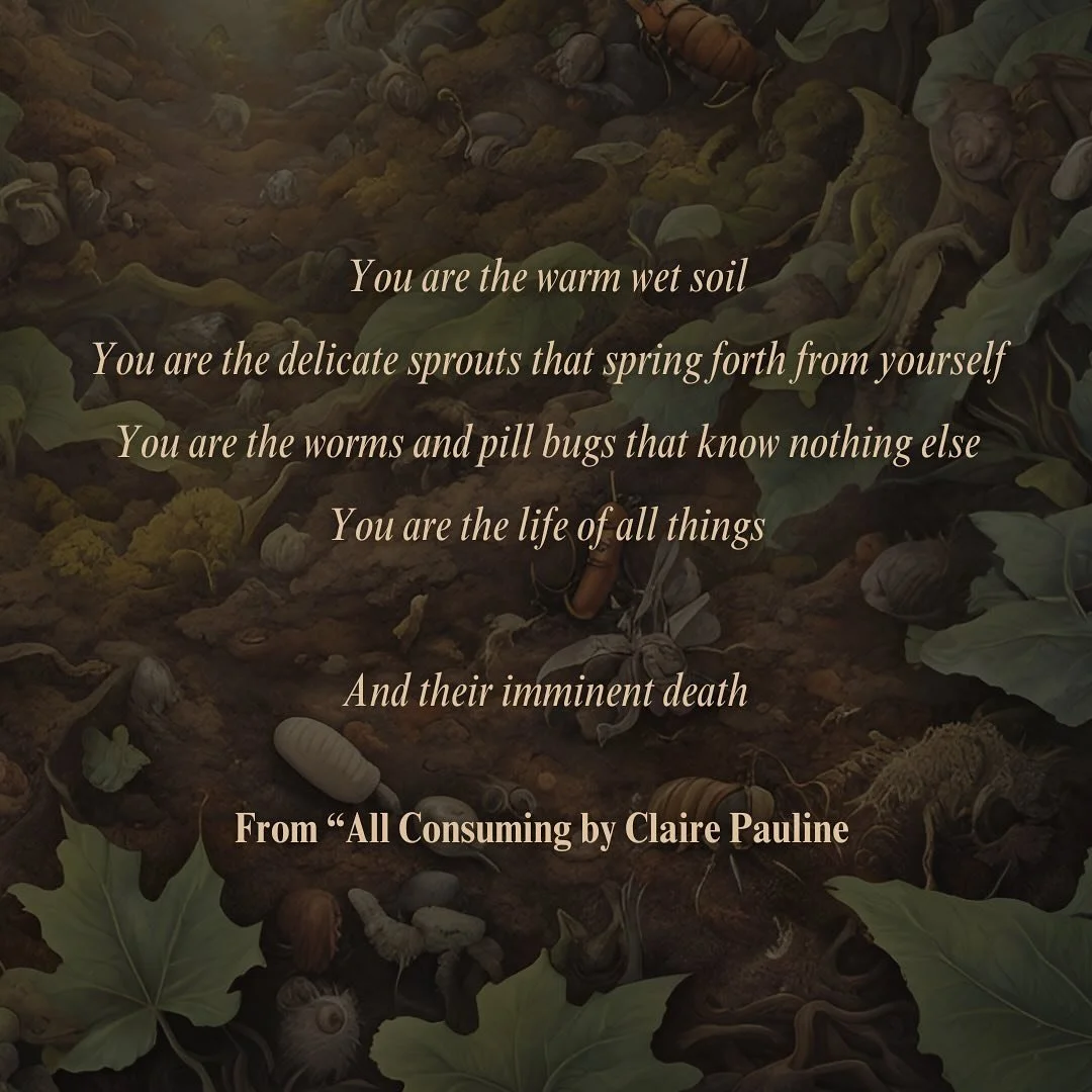 ✨personal excerpt of the day✨

Today&rsquo;s excerpt is from &ldquo;All Consuming&rdquo;, a poem that will be available to read in full on January 1st. Make sure you check back then to see the whole piece!