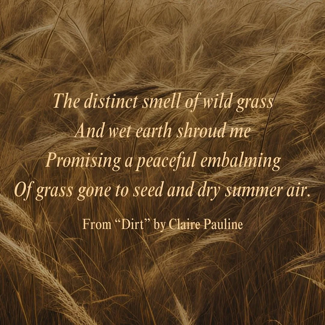 ✨personal excerpt of the day✨

This one is from my poem, Dirt. The full piece will be available on my website January first! Make sure you check back then to read it! 😊