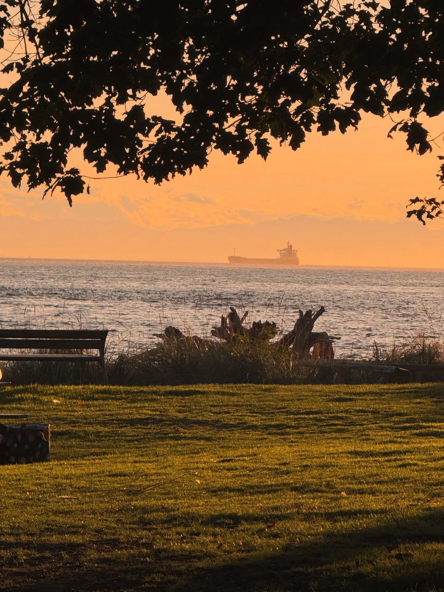 Golden hour by the water, watching ships drift past and the world slow down. 🌅🚢 #SunsetVibes #CoastalCalm #GoldenHourGlow