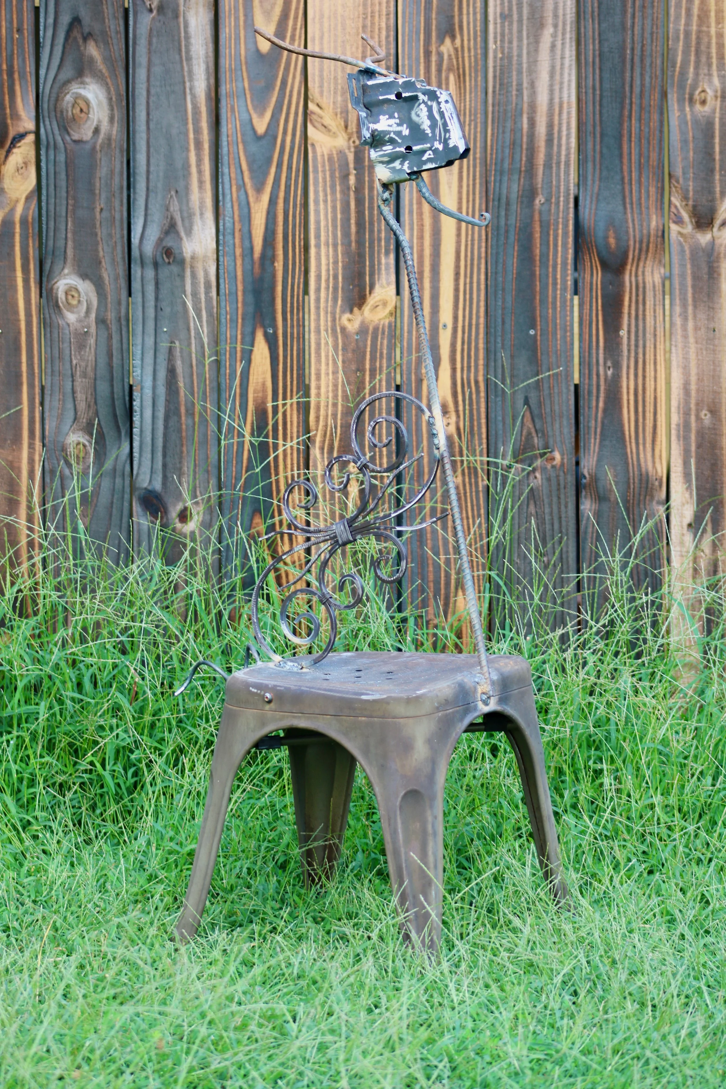 Whimsy on a Weathered Throne