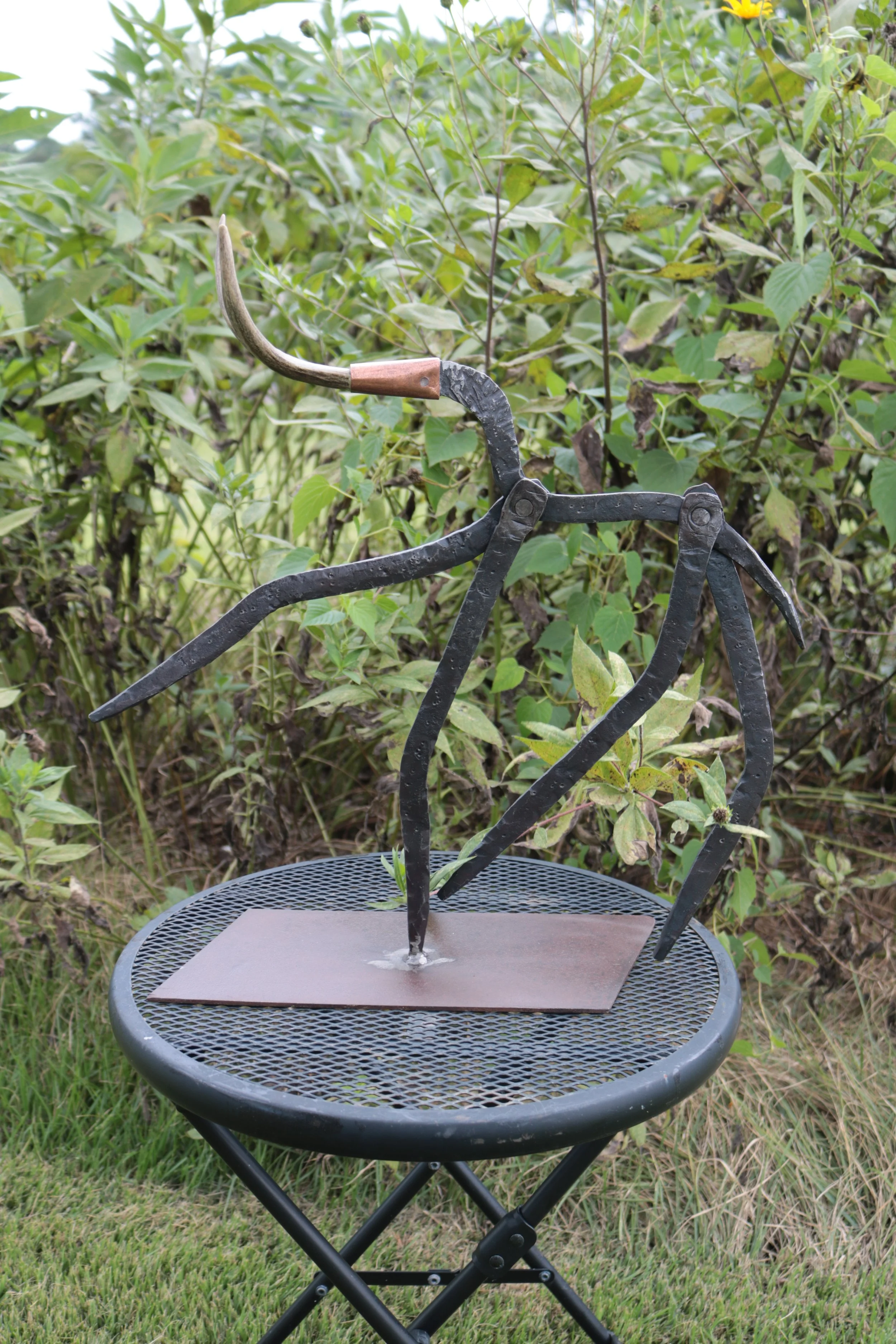 One of the Creatures God Forgot to Make