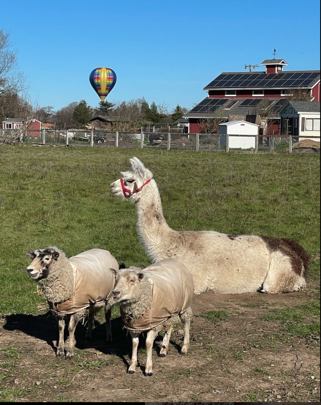 Screenshot 2023-07-28 at 10.41.47 PM.png