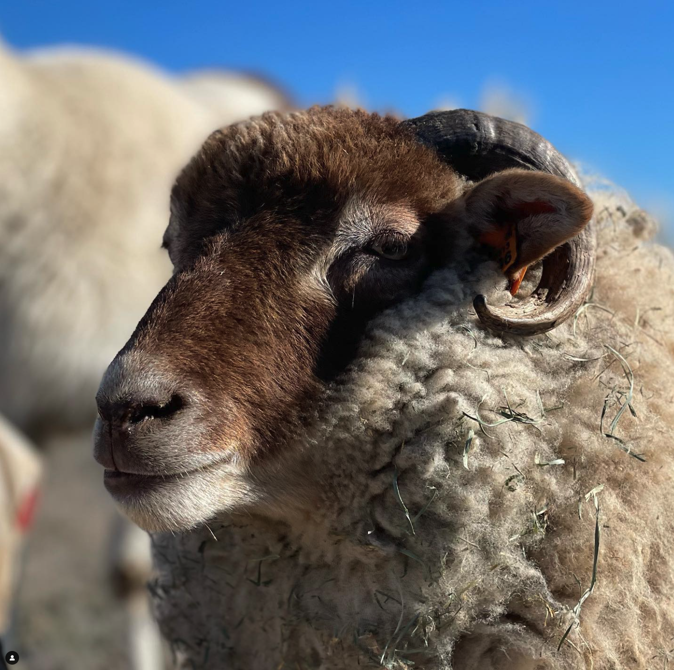 Screenshot 2023-07-28 at 10.41.35 PM.png