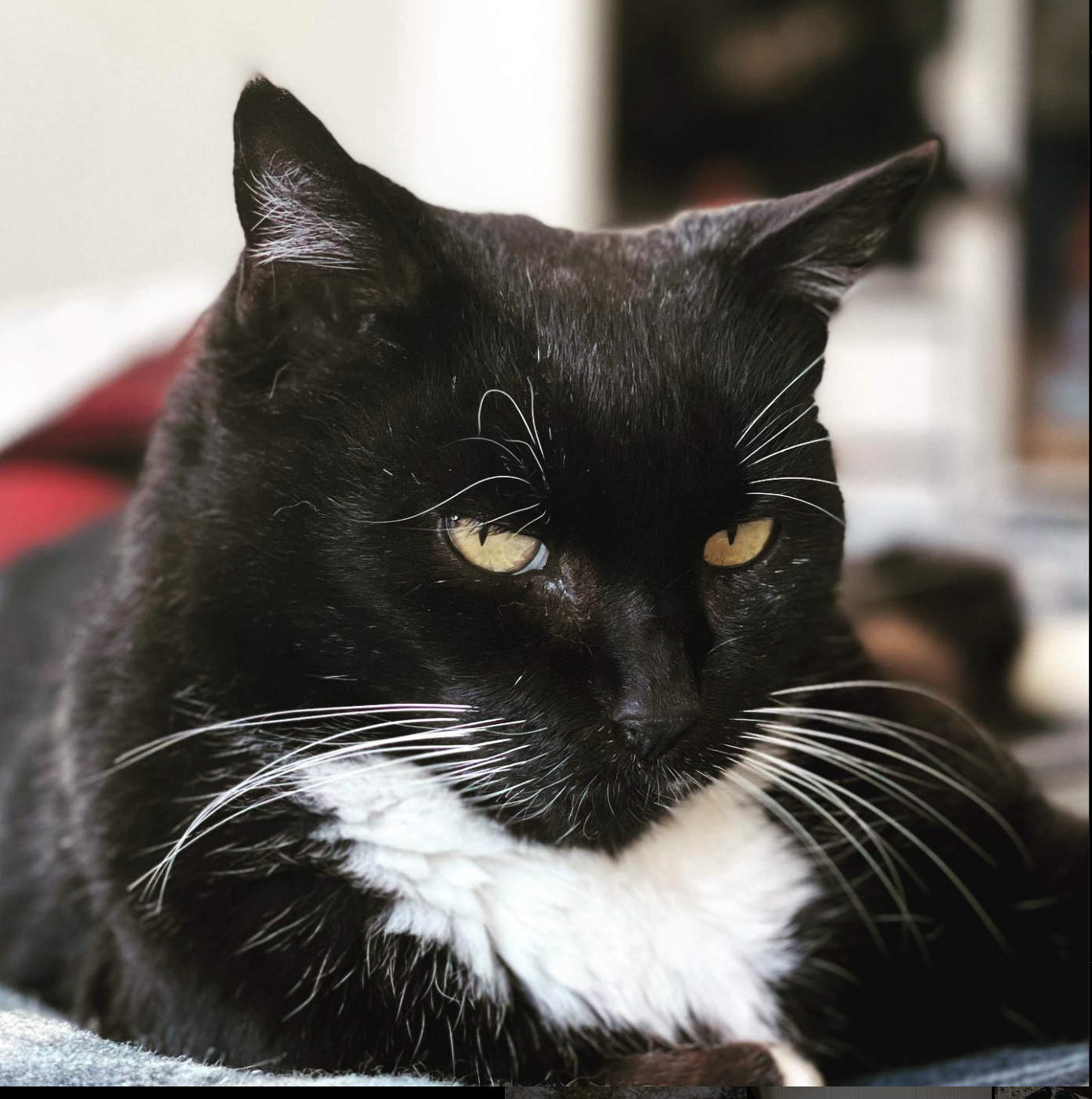 Screenshot 2023-07-28 at 10.40.58 PM.png