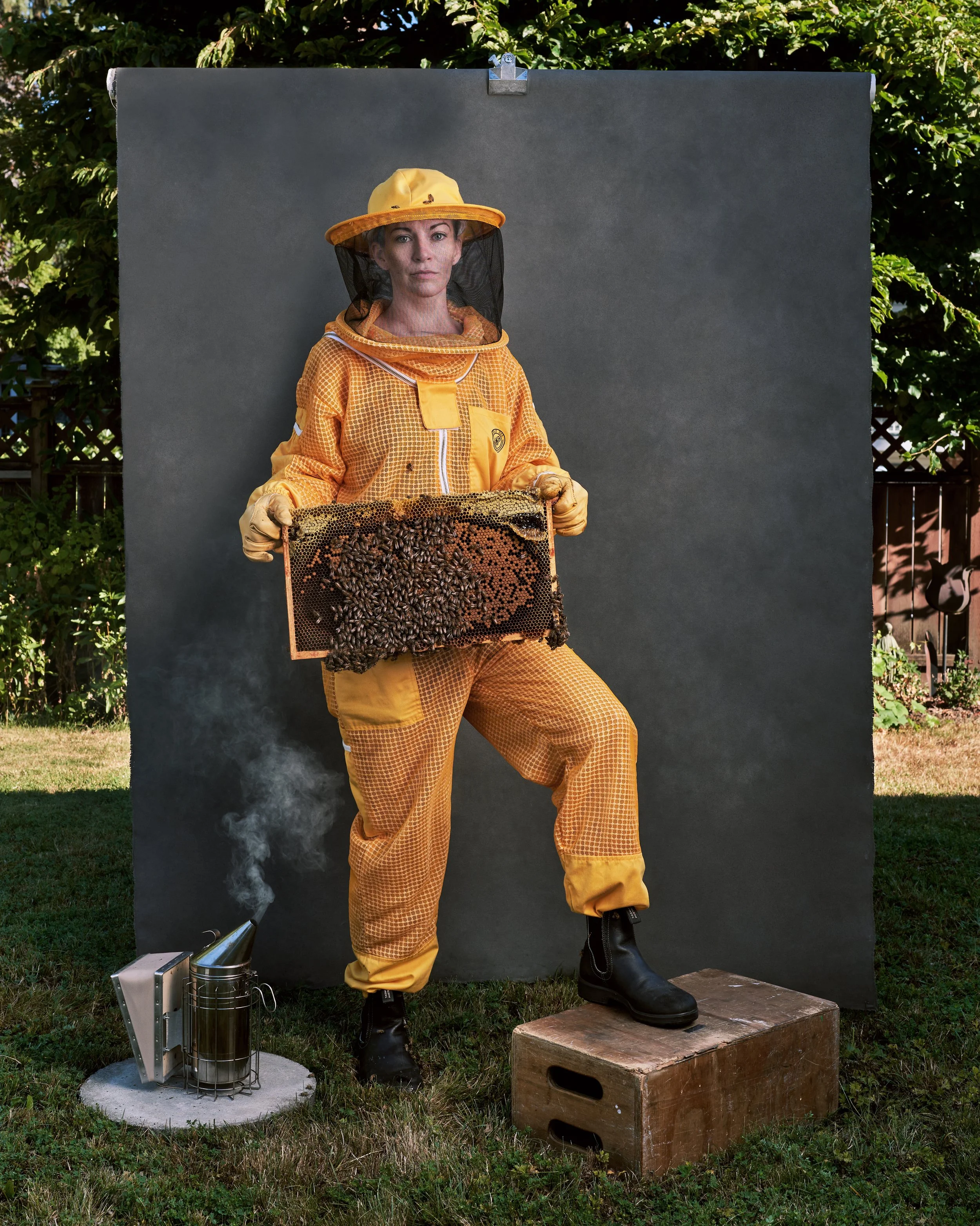 BritishColumbia_bees11.jpg