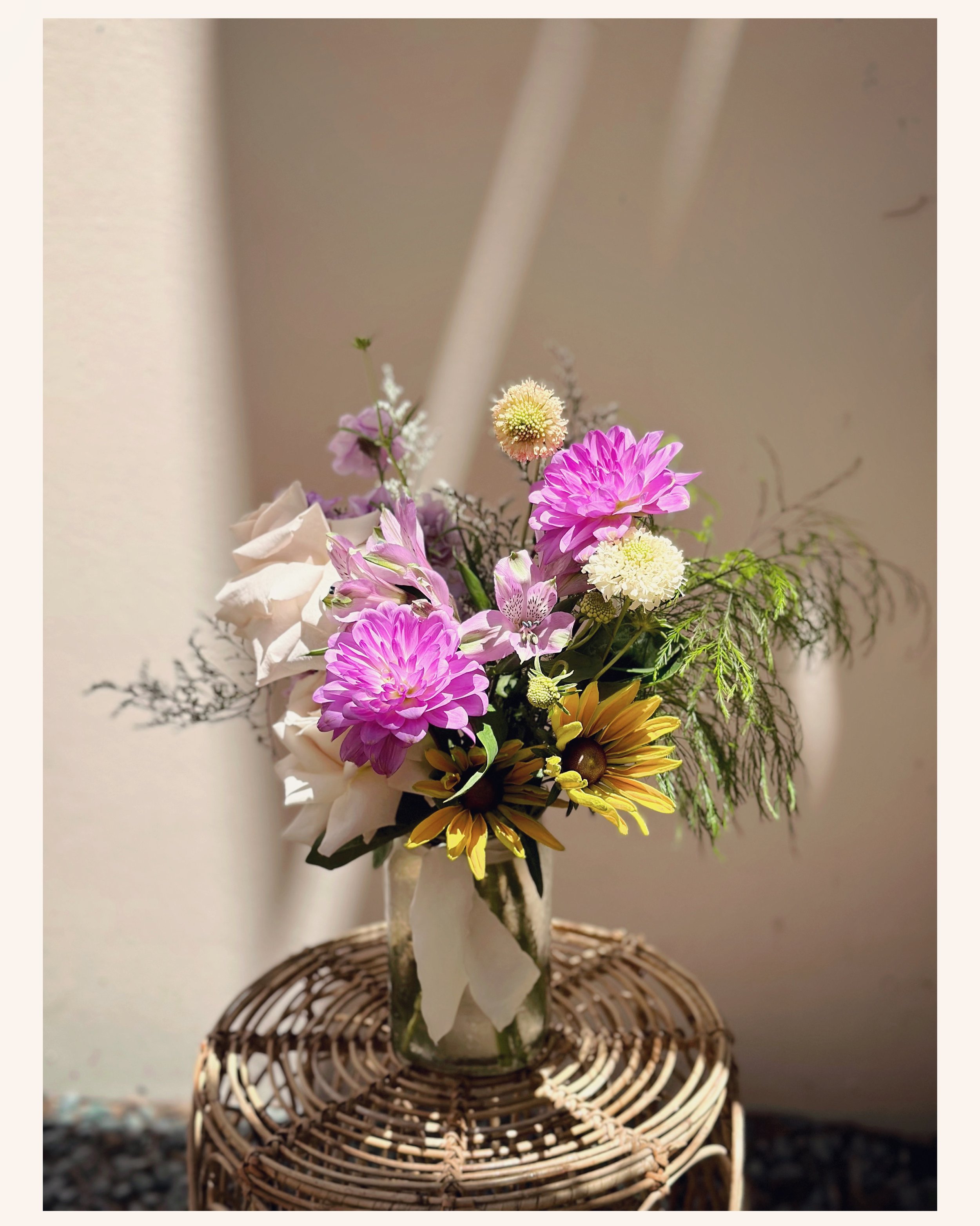 The Plant Craft