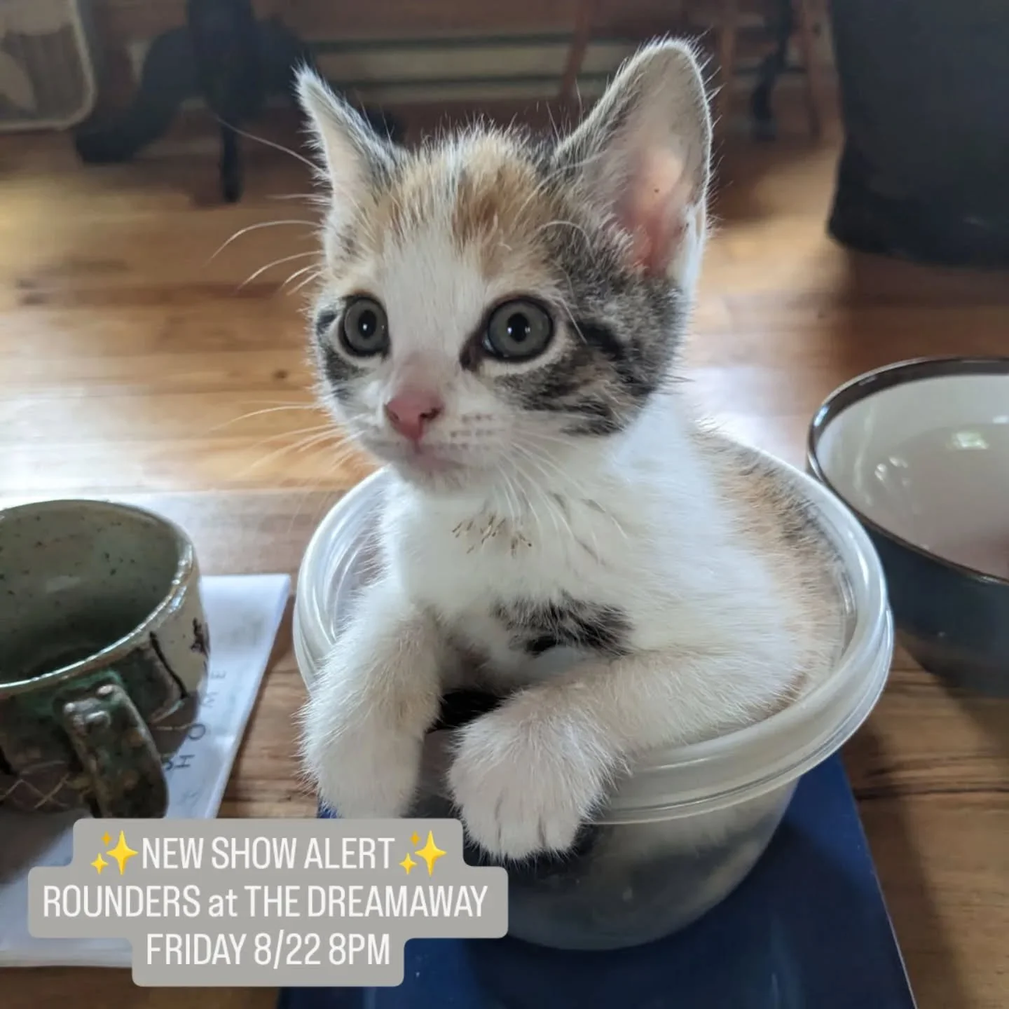 ATTENTION, ATTENTION!!! 
OKIE WAS THE CUTEST KITTEN EVER

and we have a 

✨🎉LAST MINUTE SHOW🎉✨

This Friday 8/22 we're back at our neighborhood haunt 

@thedreamawaylodge
8-10pm