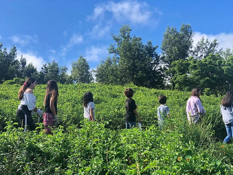 Tropical Winter Odyssey in Kona Hawaii - February 2026