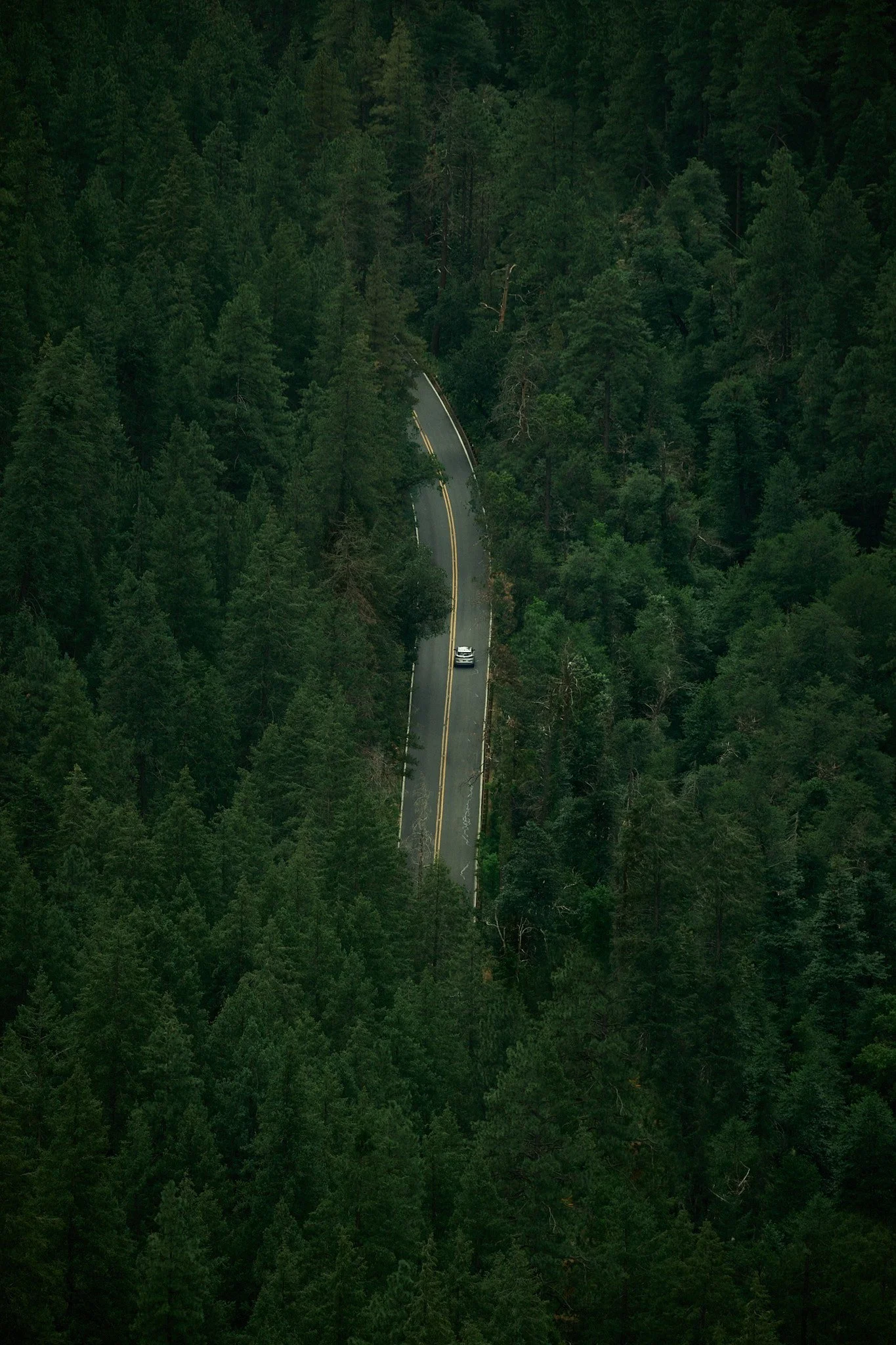 DSCF6829.jpg