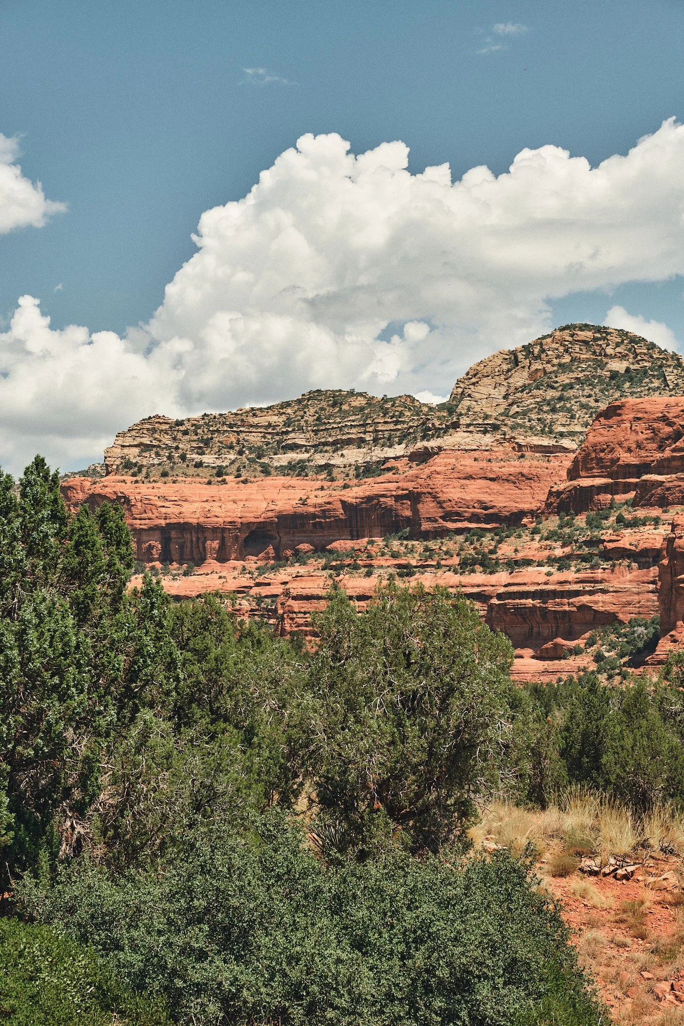 DSCF6788.jpg