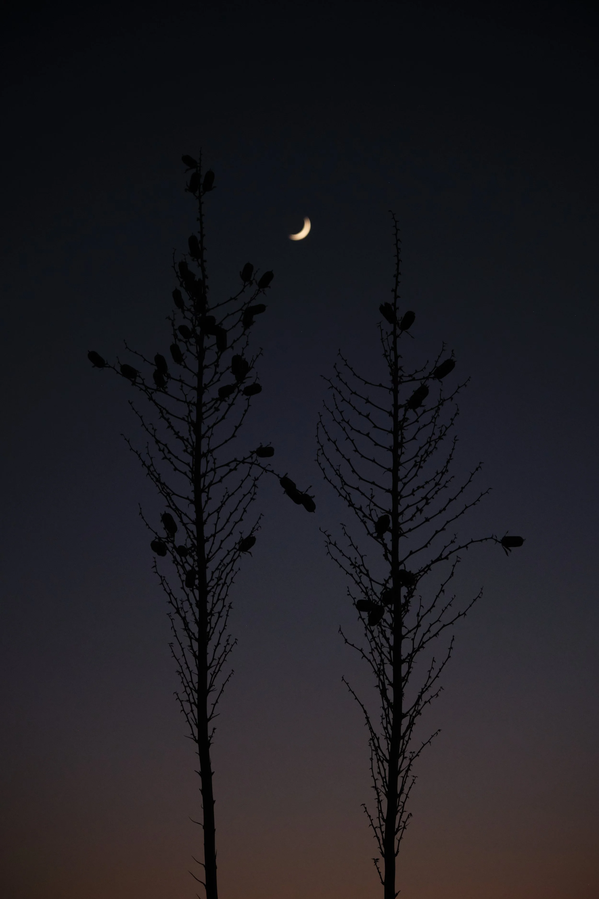 DSCF5738.jpg