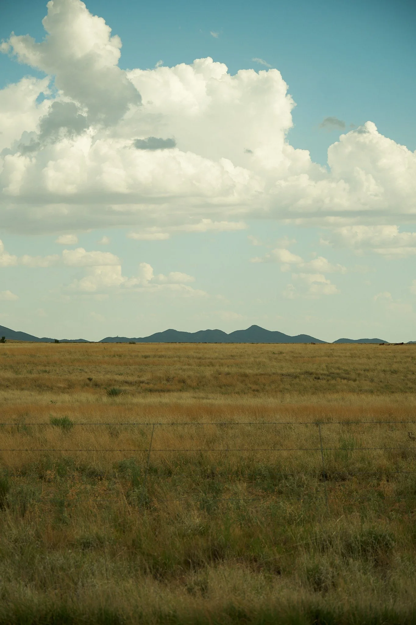 DSCF6889.jpg