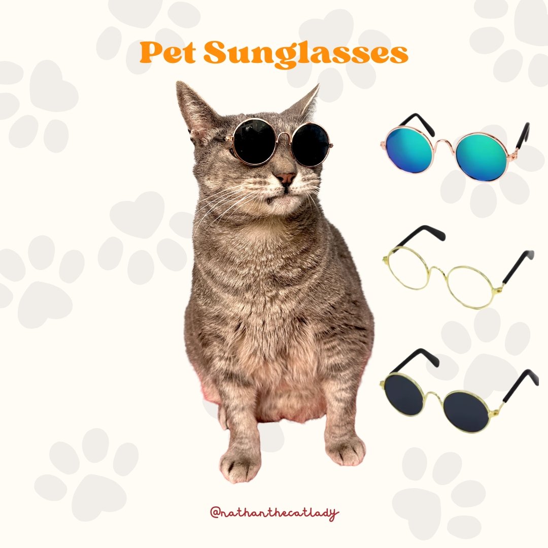Pet Sunglasses Main Logo.jpg