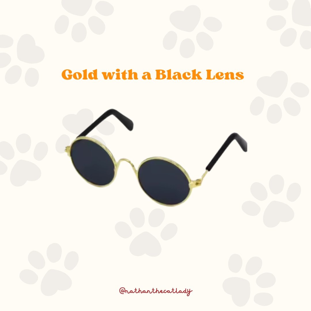 Gold with BlackGlasses.jpg