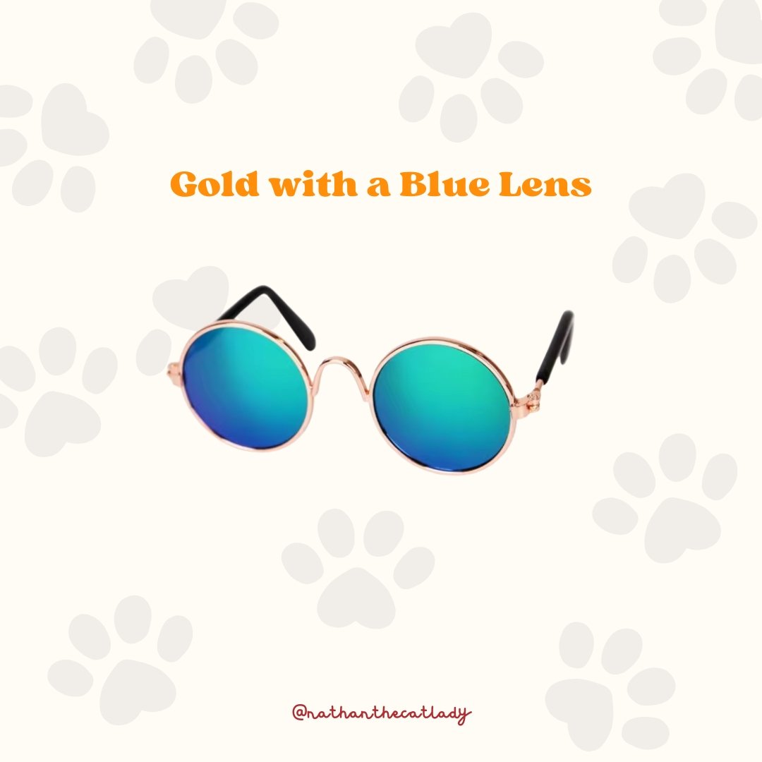 Gold with Blue Glasses.jpg