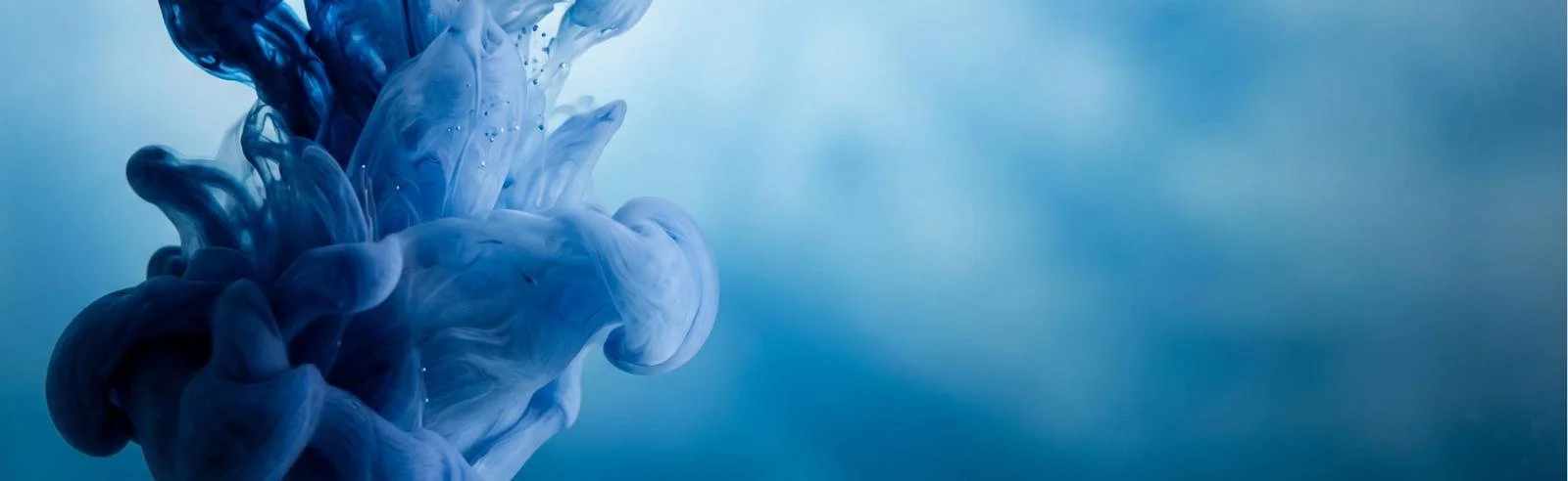 Be Slow to Judgement. Be Quick to Forgiveness and to Kindness.