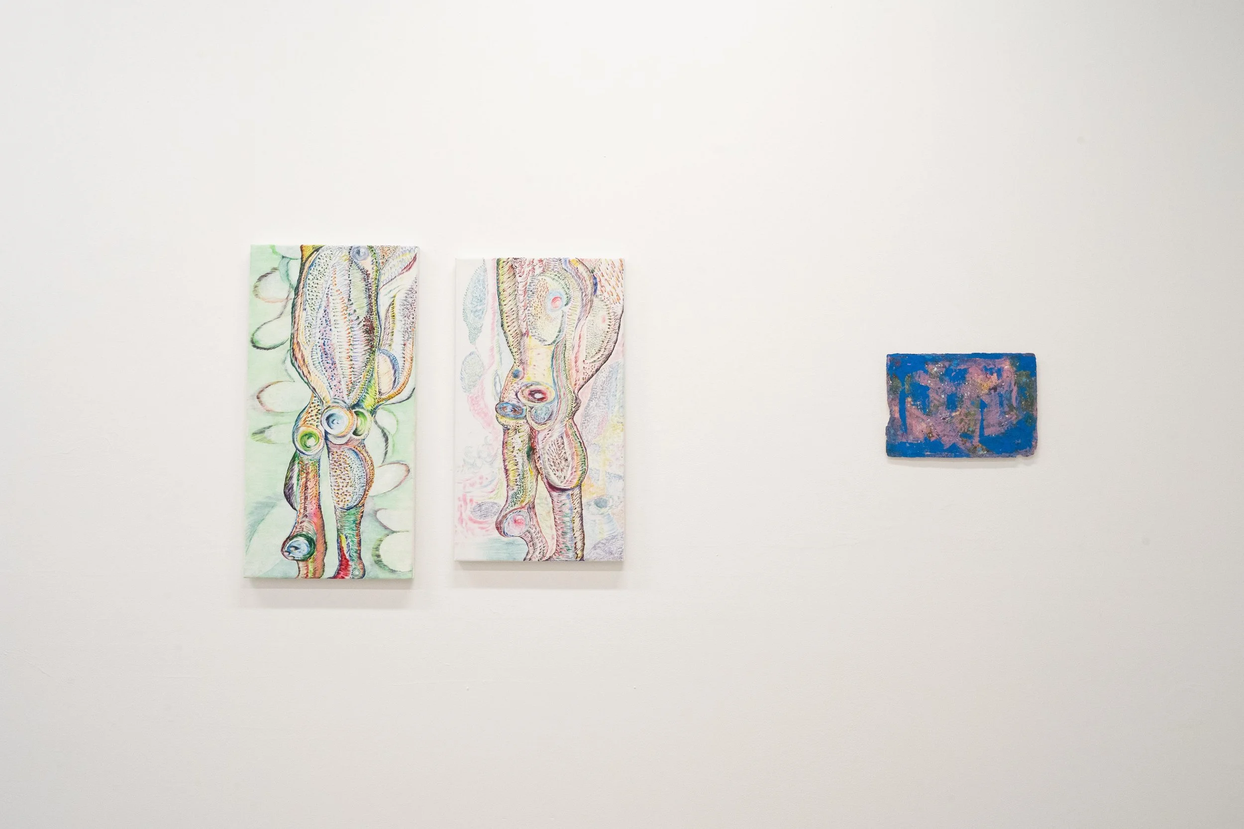 Installation view of A Full World, 2025, TCB Gallery, Melbourne. Photo Credit: Camille Chapman