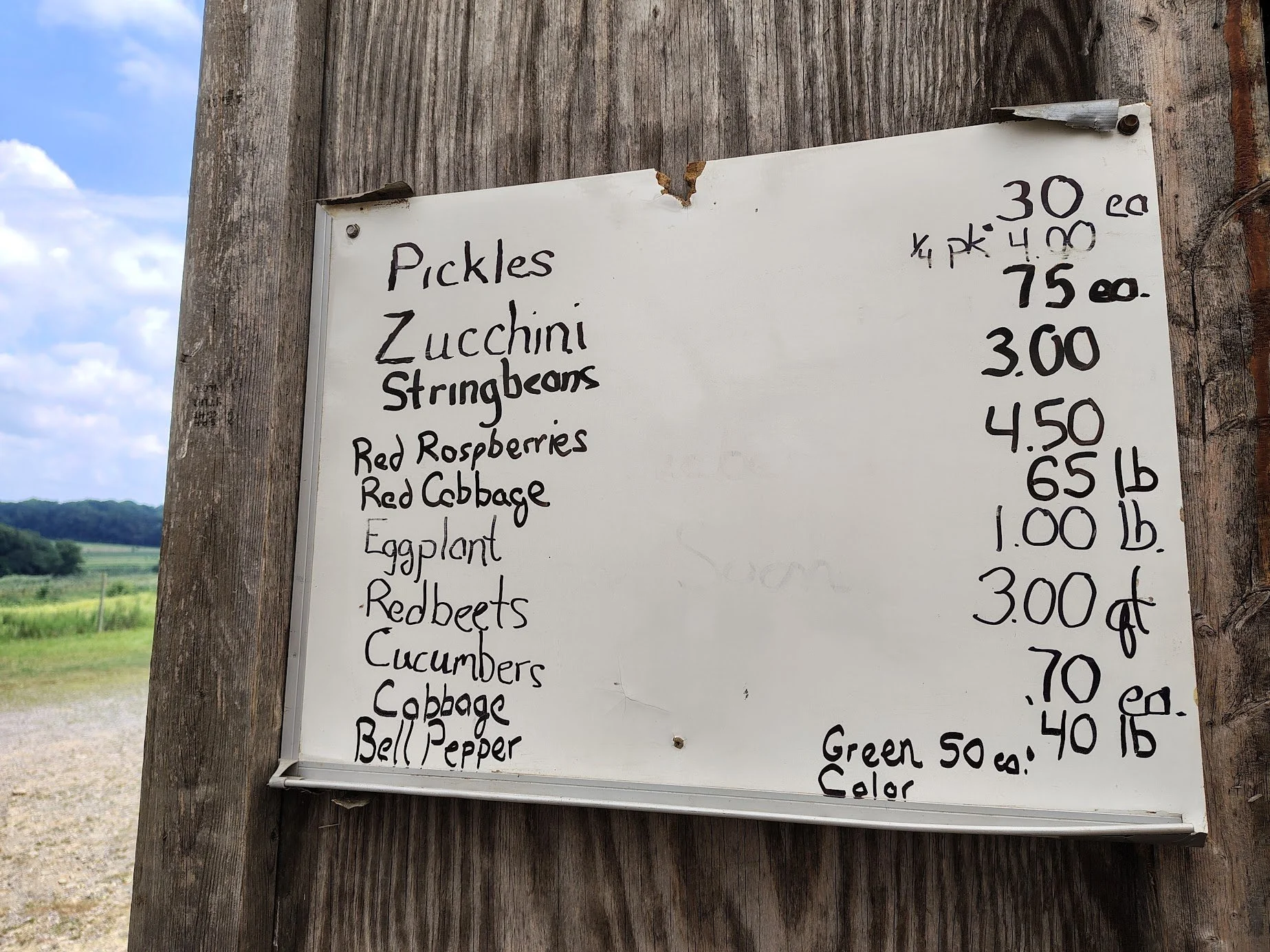 IMG_20250816_141030392_HDR.jpg
