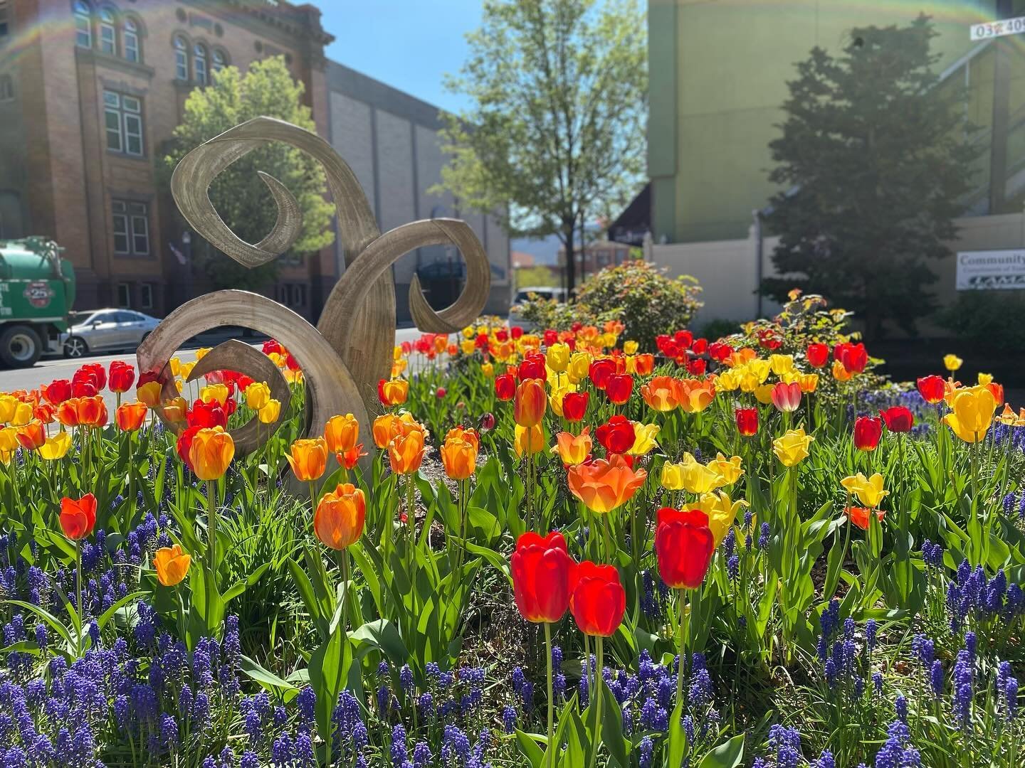 How beautiful are these flowers?! 💐🌷🌸