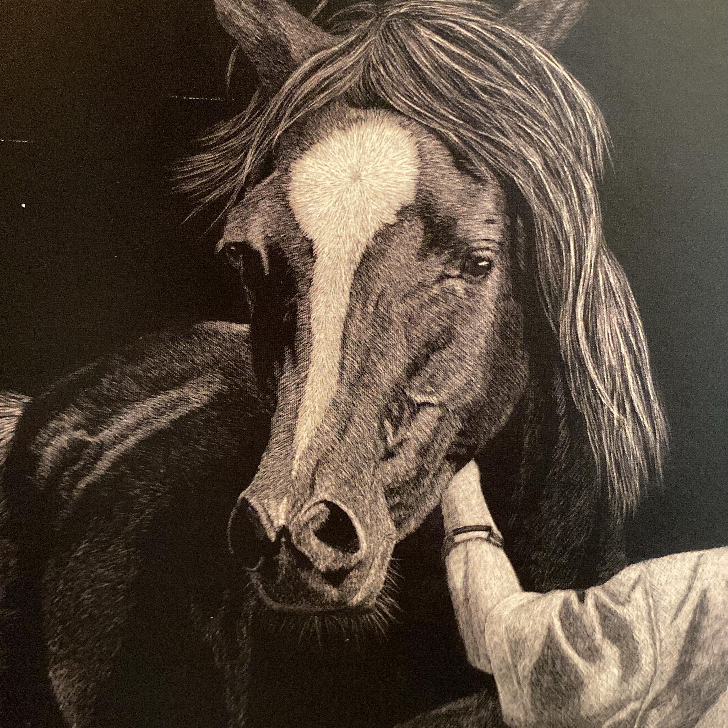 It&rsquo;s a new month which means a new calendar photo to enjoy from @lynnkibbefineart! 🐴

#scratchboard #fineart #horse #blackandwhite #may