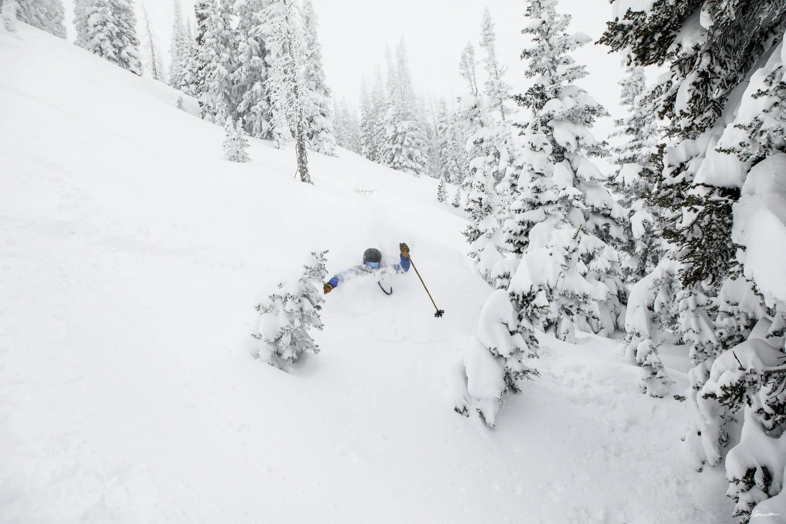 Powdercats_pittedl_post_5_7_25 (6 of 10).jpg