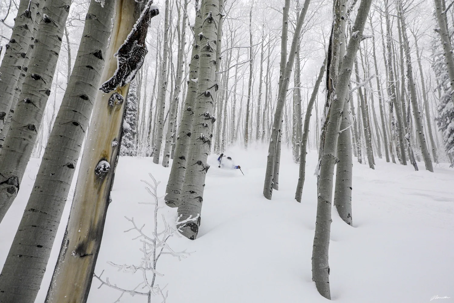 Steamboat Powdercats