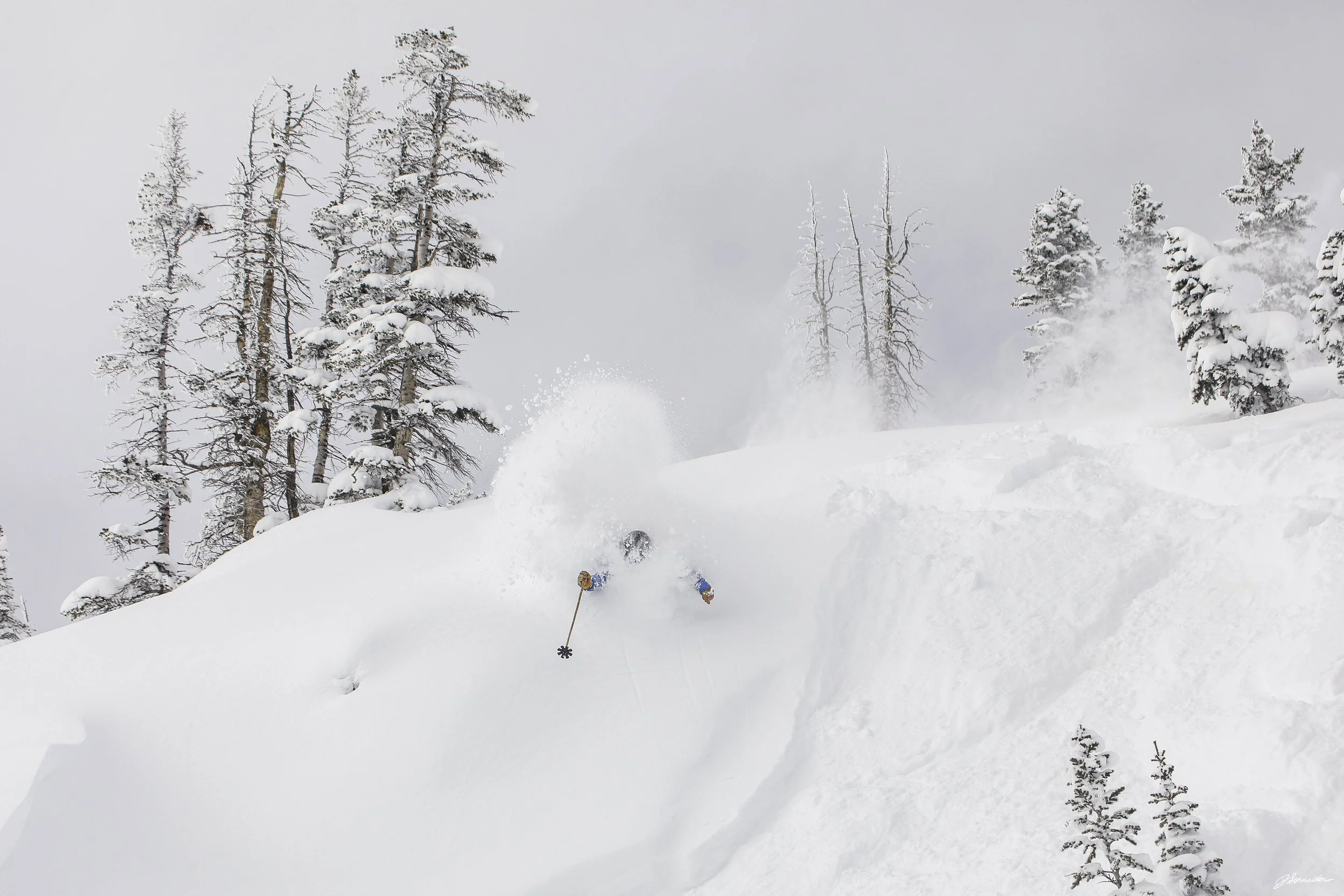 Powdercats_pittedl_post_5_7_25 (5 of 10).jpg