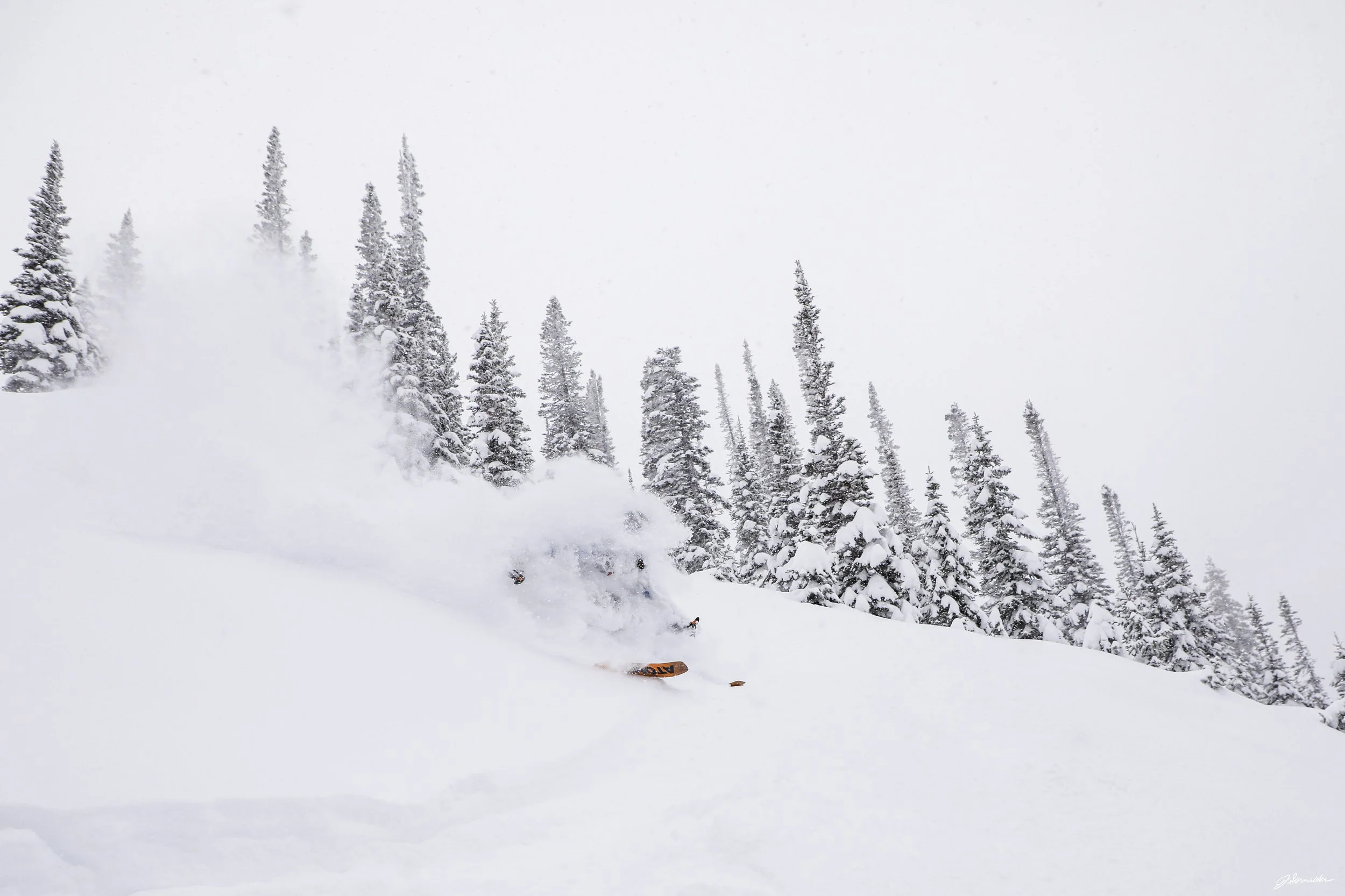 Powdercats_post_4_2_25 (4 of 10).jpg