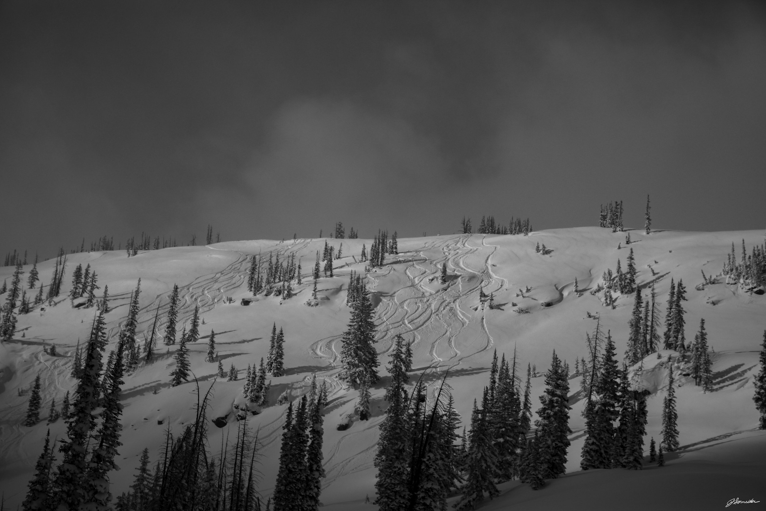 snow_bnw_horizontal (4 of 9).jpg