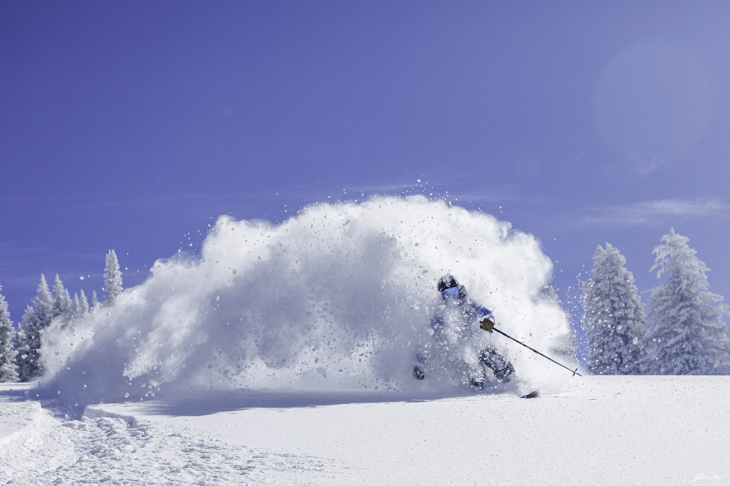 Powdercats_pittedl_post_5_7_25 (9 of 10).jpg