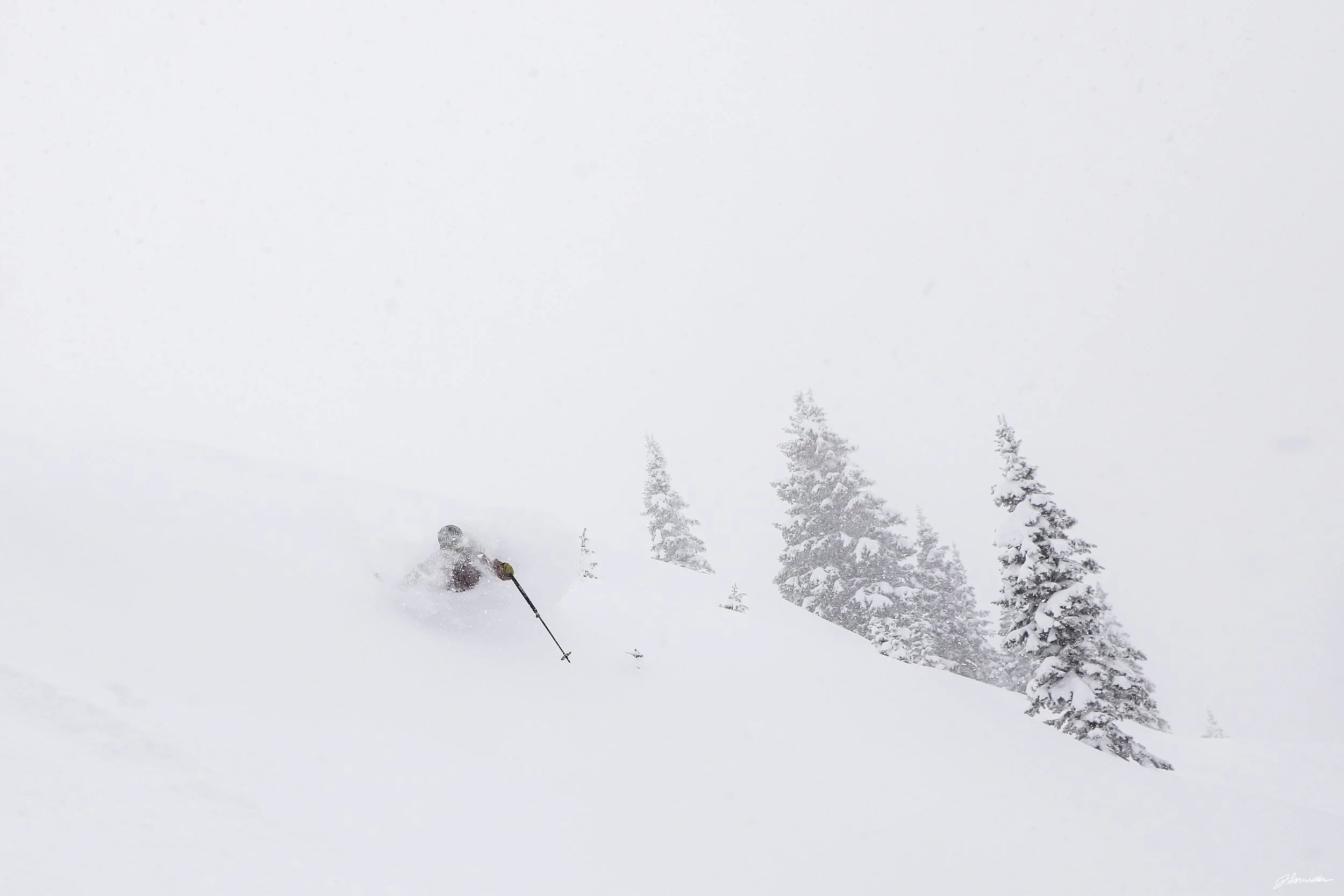 Powdercats_post_4_2_25 (2 of 10).jpg