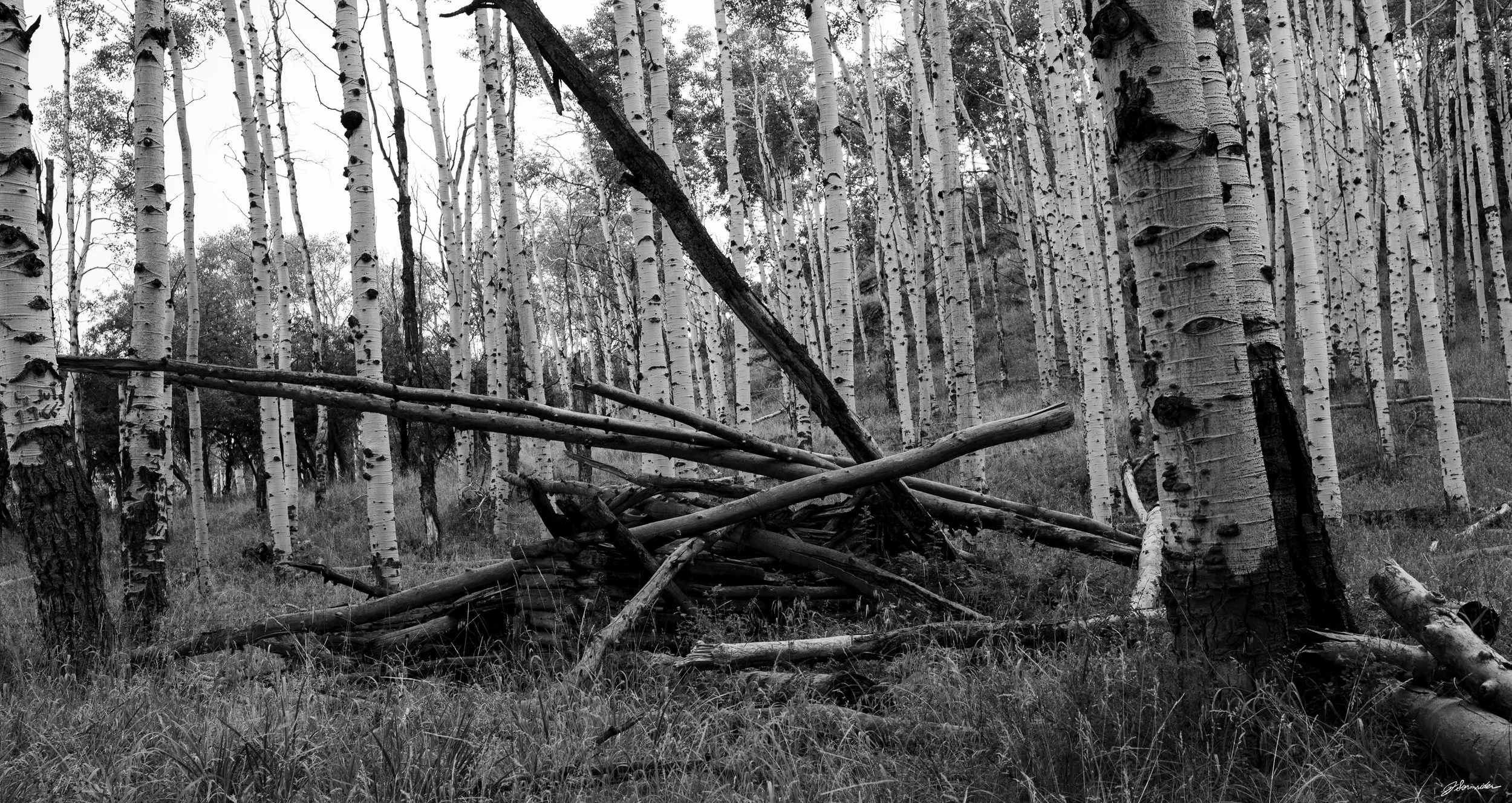 ethanhomestead2 (1 of 1).jpg