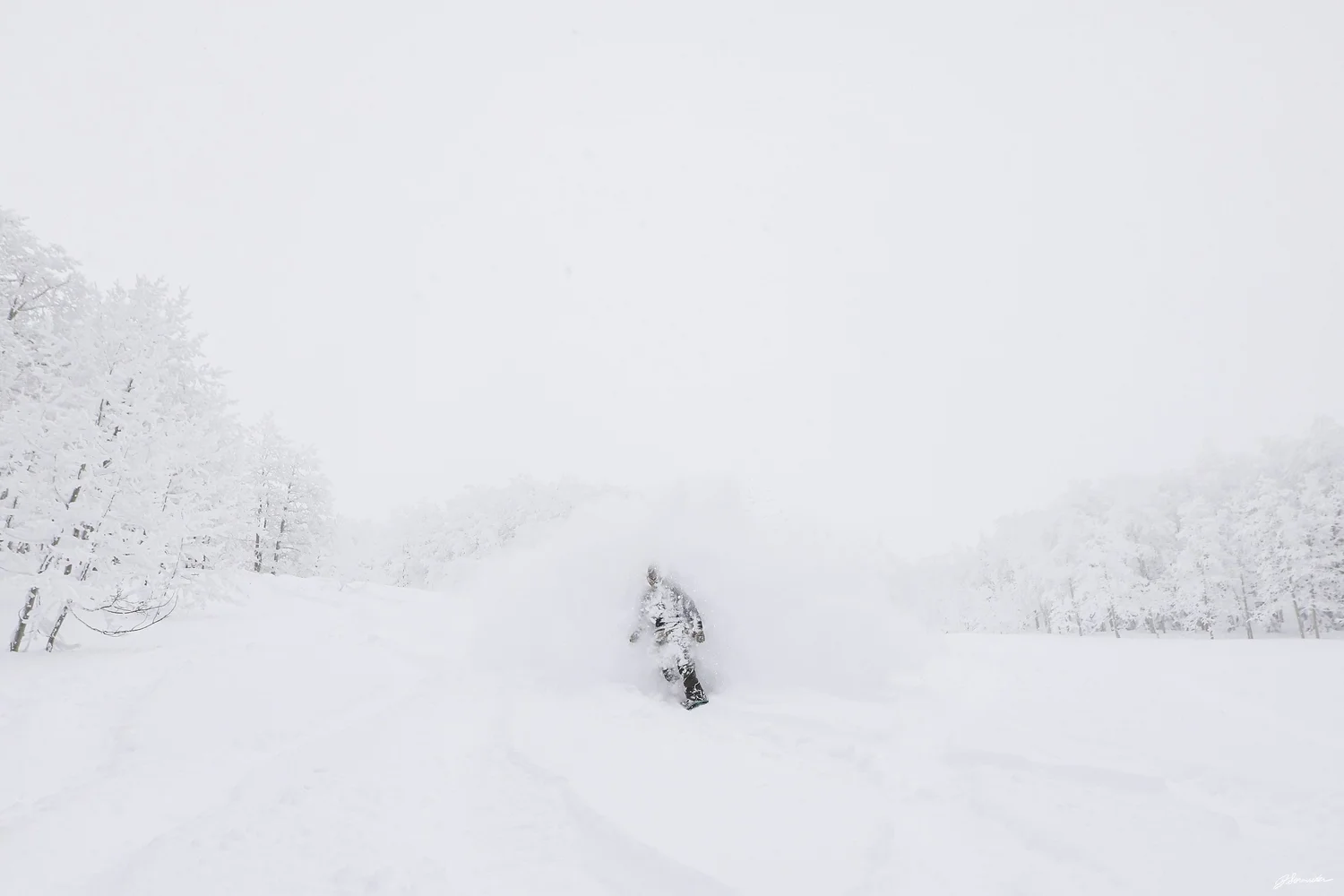 Steamboat Powdercats