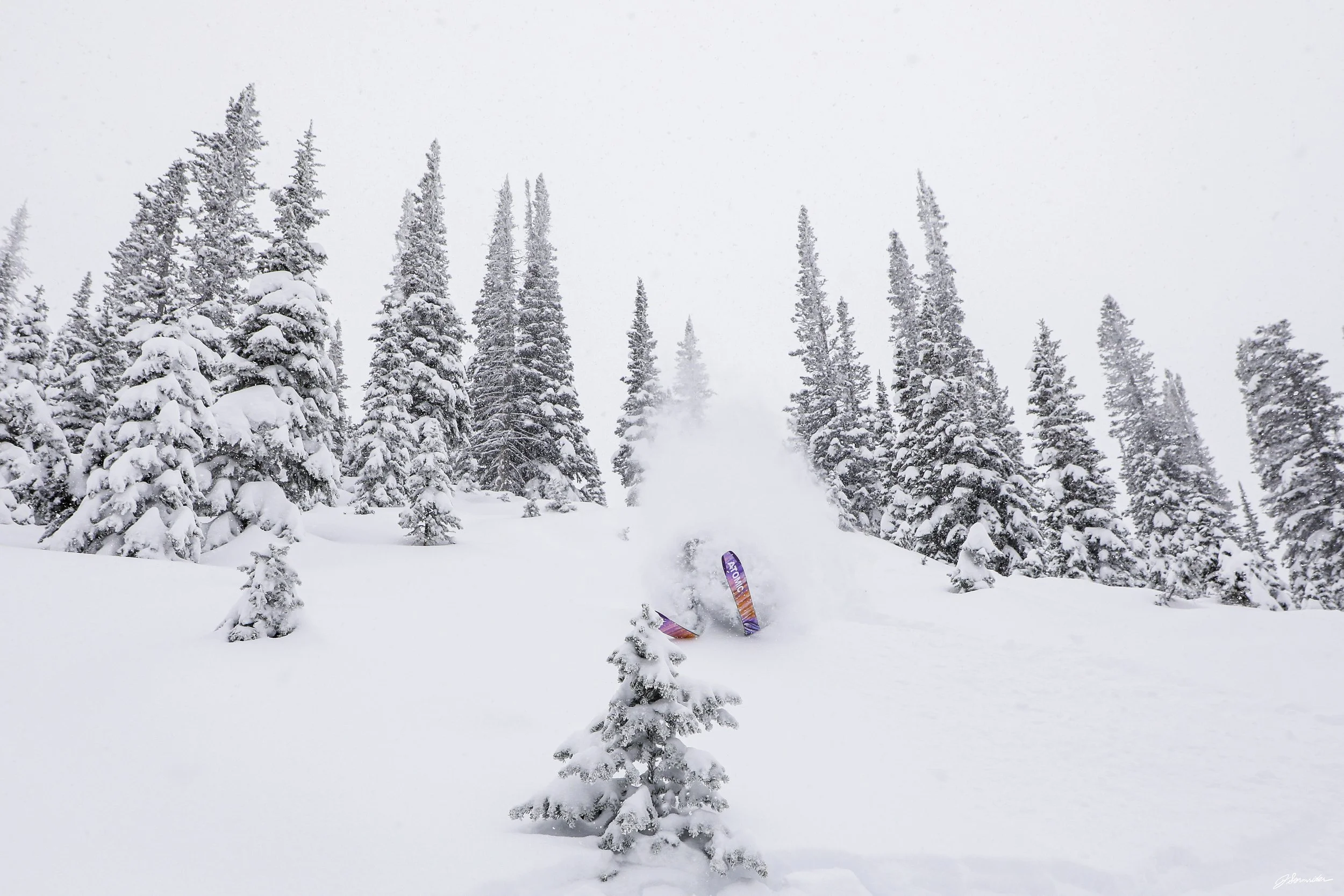 Powdercats_post_4_2_25 (6 of 10).jpg